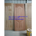 Natural Veneer Door Skin